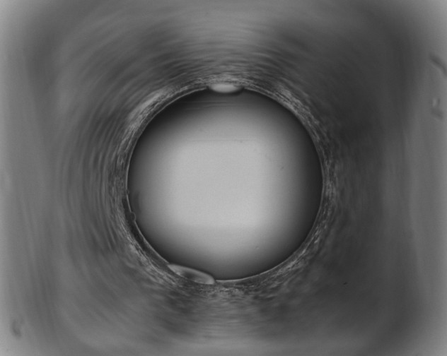 X0000103430193200809121337