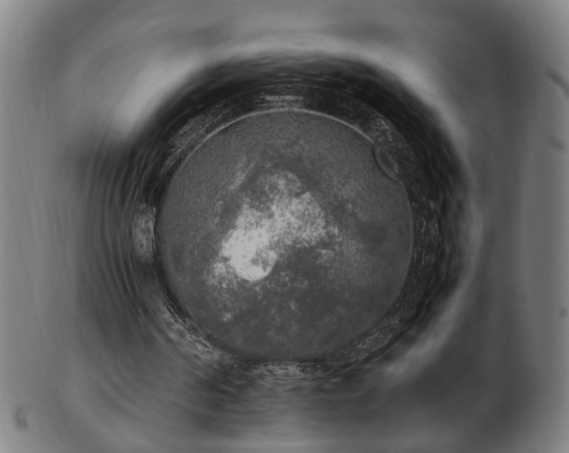 X0000103430194200809121337