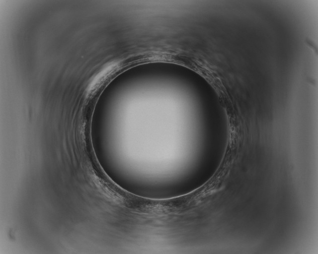X0000103430197200809121337