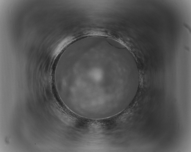 X0000103430199200809121337