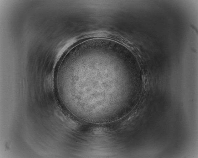 X0000103430200200809121337
