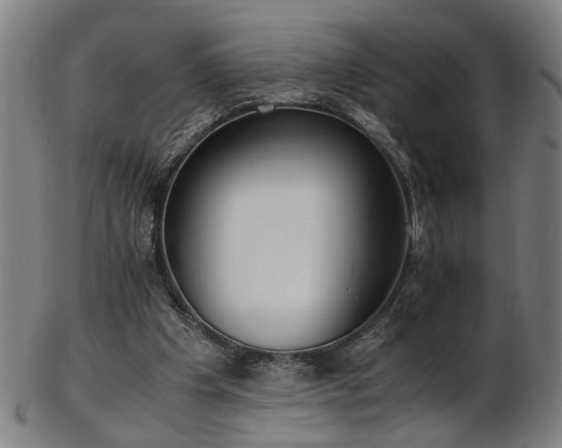 X0000103430201200809121337