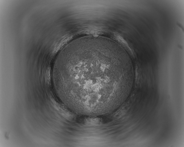 X0000103430202200809121337