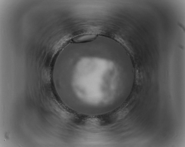 X0000103430203200809121337