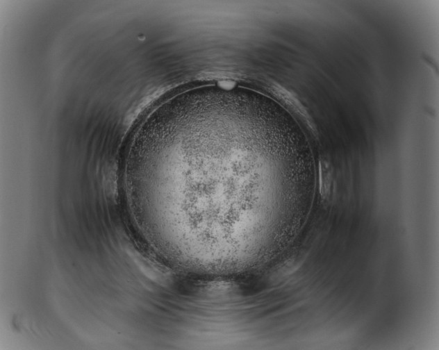 X0000103430204200809121337