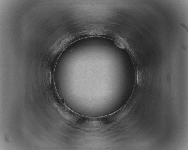 X0000103430205200809121337