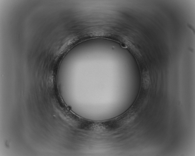 X0000103430207200809121337