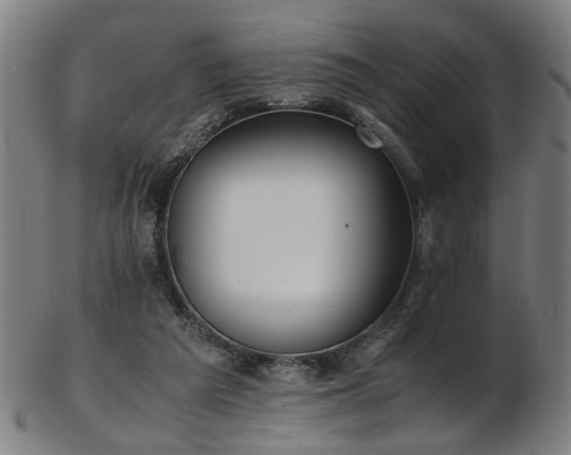 X0000103430209200809121337