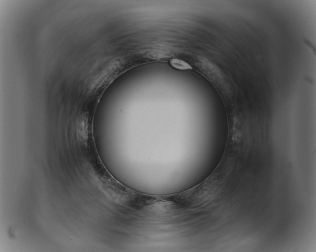 X0000103430210200809121337