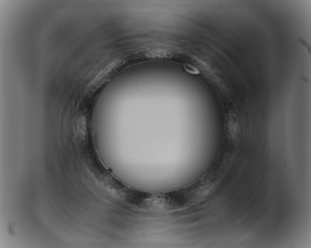 X0000103430211200809121337