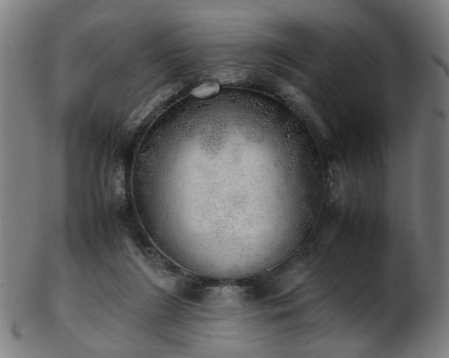 X0000103430212200809121337