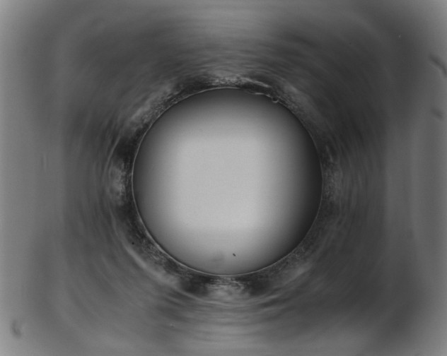 X0000103430215200809121337