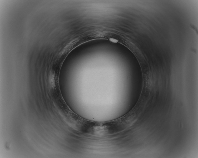 X0000103430216200809121337