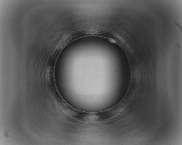 X0000103430217200809121337