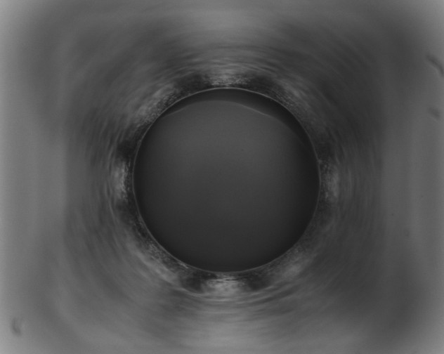 X0000103430219200809121337