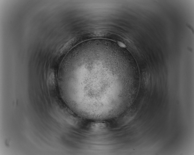 X0000103430220200809121337