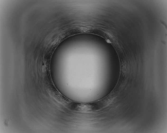 X0000103430221200809121337