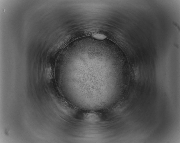 X0000103430224200809121337