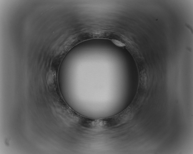X0000103430225200809121337