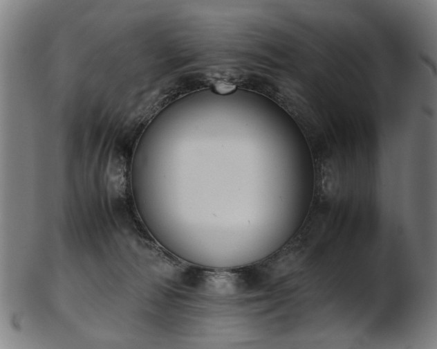 X0000103430226200809121337