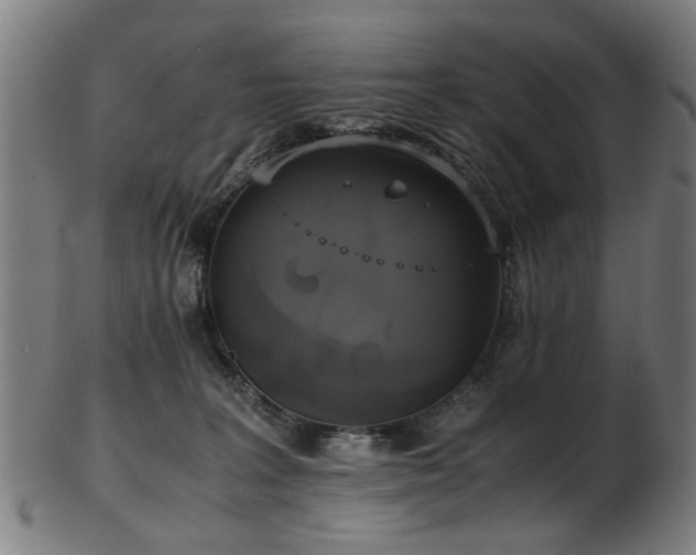 X0000103430227200809121337