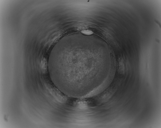 X0000103430228200809121337
