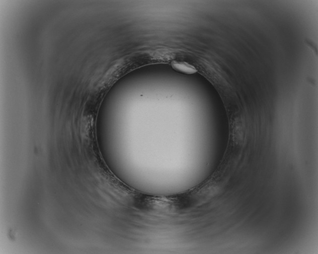 X0000103430229200809121336