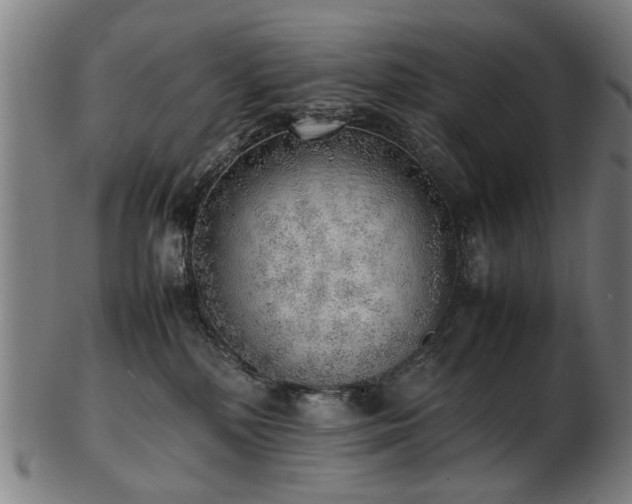 X0000103430232200809121336