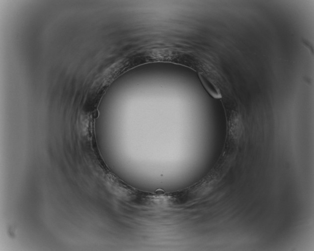 X0000103430233200809121336