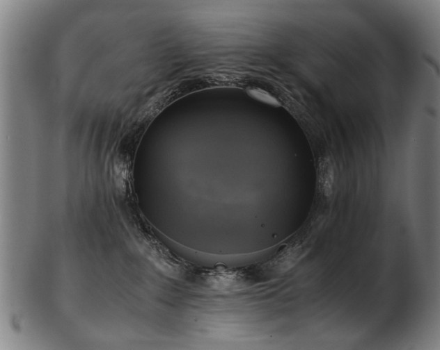 X0000103430235200809121336