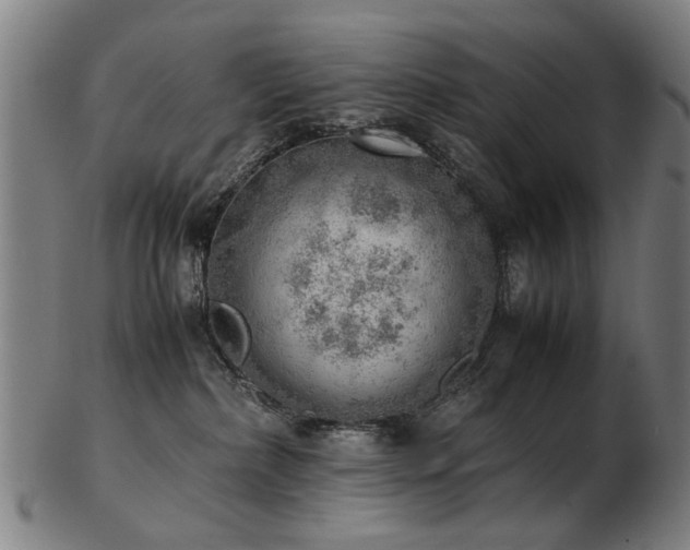 X0000103430236200809121336