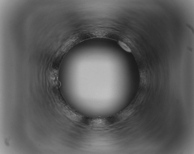 X0000103430237200809121336