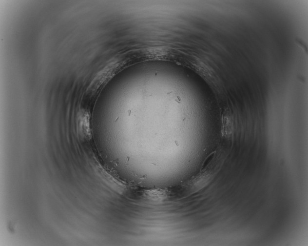 X0000103430238200809121336