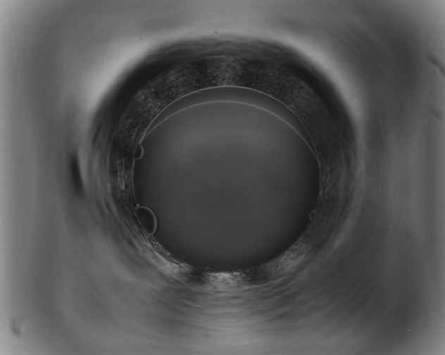 X0000103430239200809121336