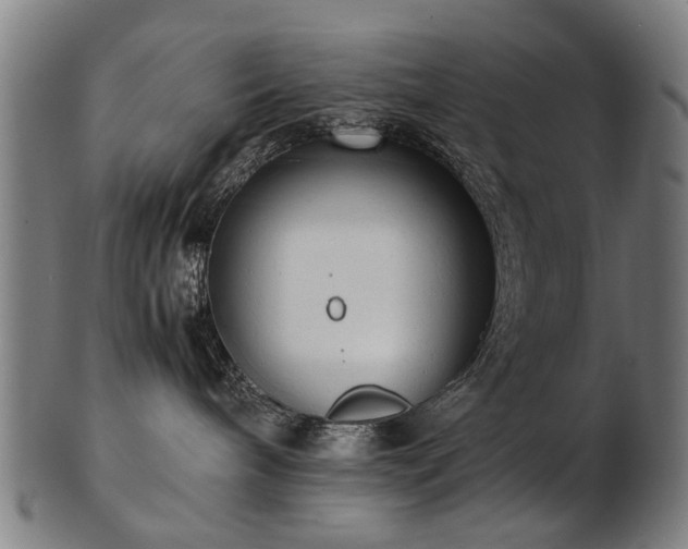 X0000103430240200809121336