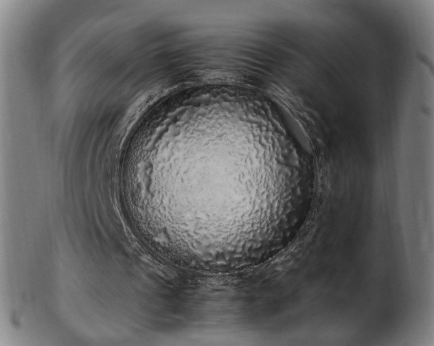 X0000103430241200809121336