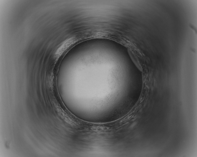 X0000103430242200809121336