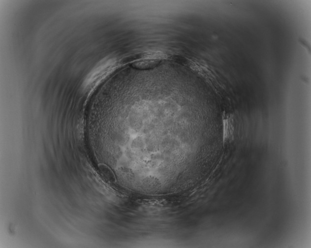 X0000103430243200809121336