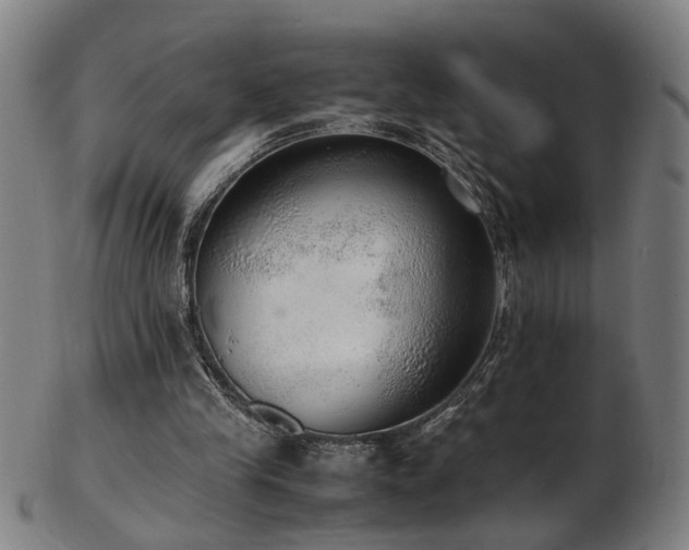 X0000103430245200809121336