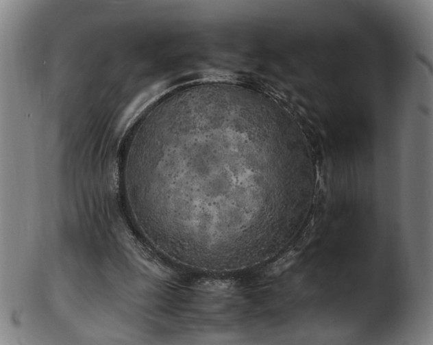 X0000103430247200809121336