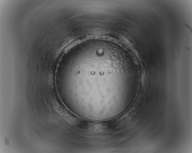 X0000103430249200809121336