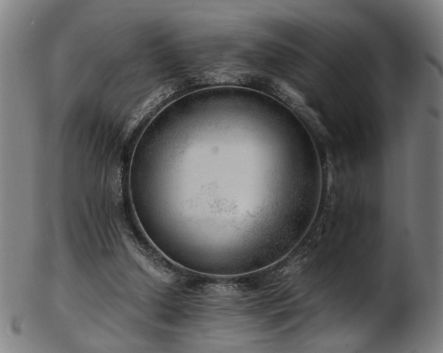 X0000103430250200809121336