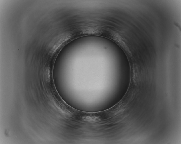 X0000103430251200809121336