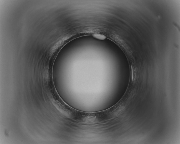 X0000103430252200809121336