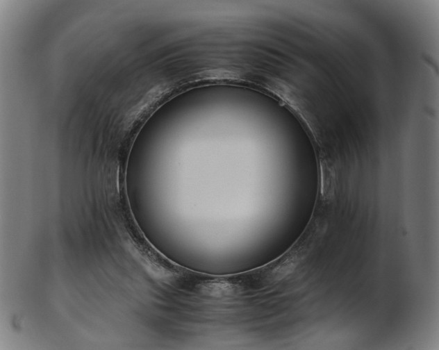 X0000103430253200809121336