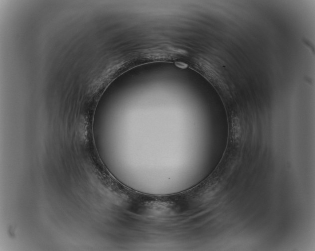 X0000103430255200809121336