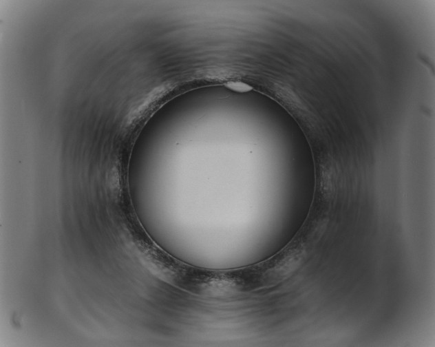 X0000103430256200809121336