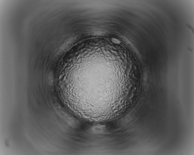 X0000103430257200809121336
