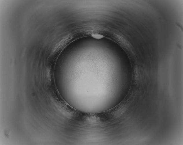 X0000103430258200809121336