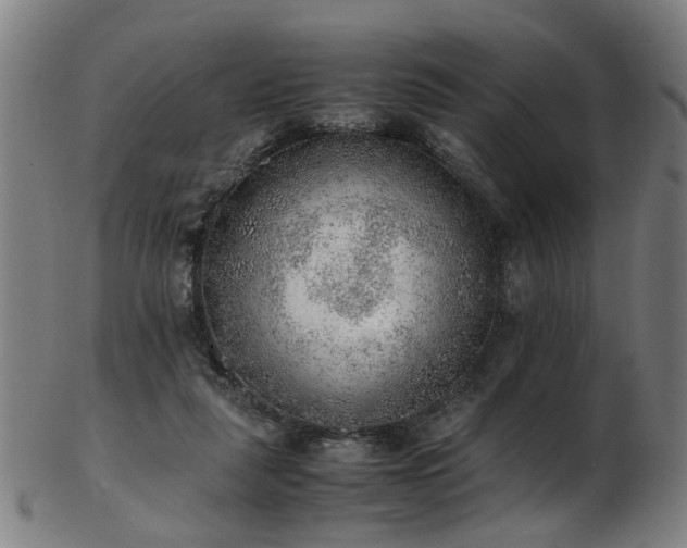 X0000103430259200809121336